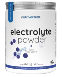 Nutriversum Electrolyte Powder | with BCAA, L-Carnitine & Green Tea